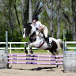 Meet your Posher, Sophie